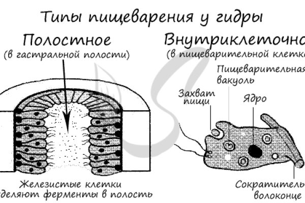 Где найти рабочую ссылку кракен