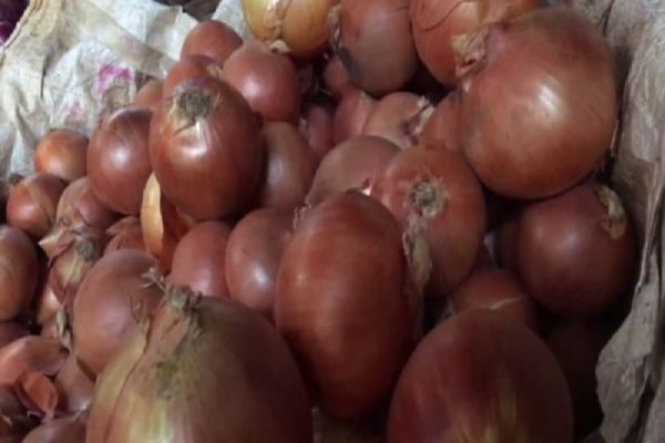 Ссылка кракен магазин